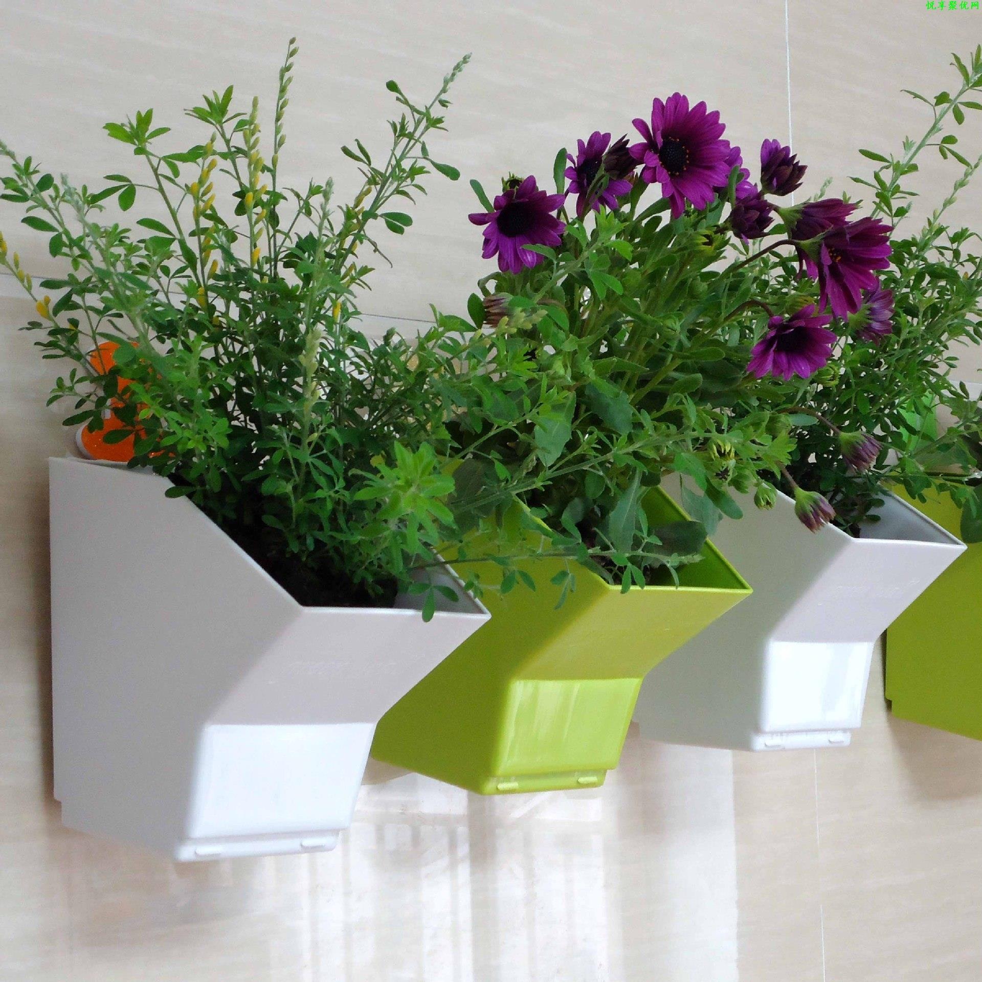 2 pcs Wall Hanging Planter Flo - огляд і ціна Bonsai Garden Wall