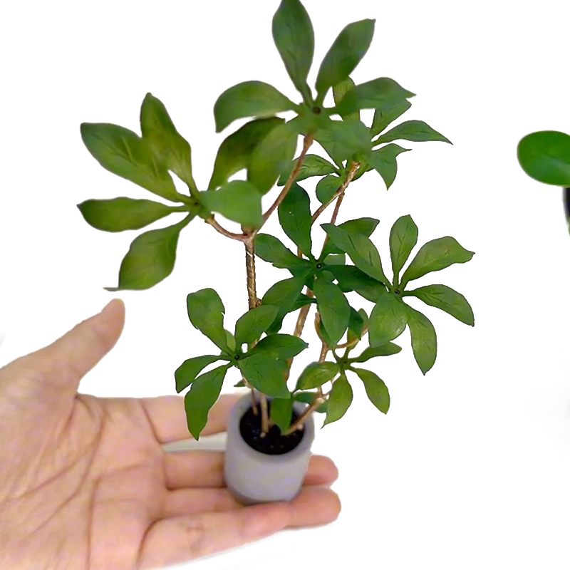 1:6 Dollhouse Miniature Potted - огляд і ціна Bonsai Garden Accessories