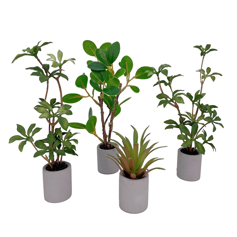 1:6 Dollhouse Miniature Potted - огляд і ціна Bonsai Garden Accessories