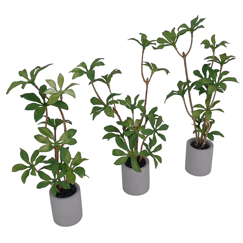 1:6 Dollhouse Miniature Potted - огляд і ціна Bonsai Garden Accessories