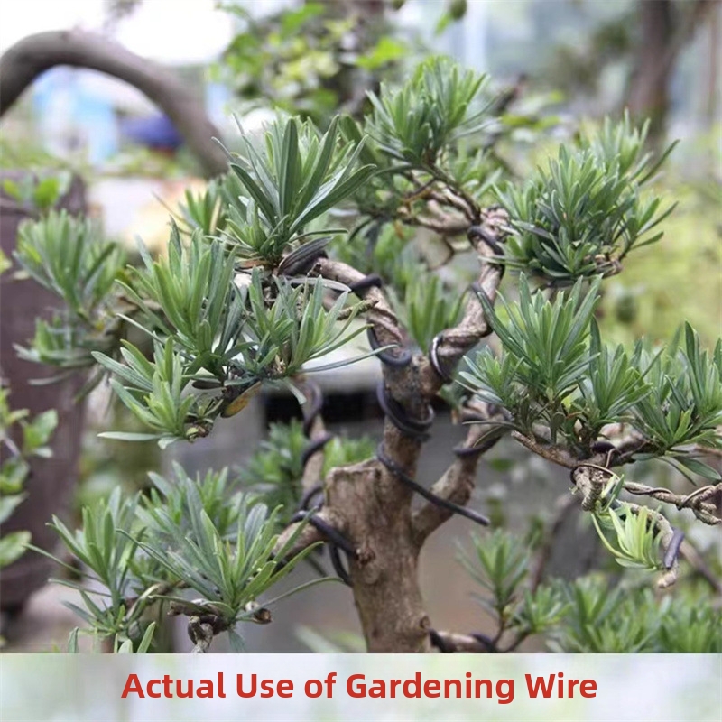 1.5MM Bonsai Wires Aluminum Bo - огляд і ціна Bonsai Garden Accessories