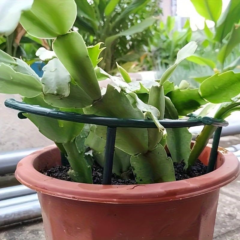 30-1PCS Plastic Plant Support  - огляд і ціна Bonsai Garden Accessories