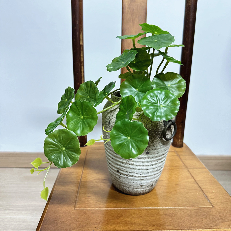 2pcs Artificial Pilea Peperomi - огляд і ціна Bonsai Garden Wall