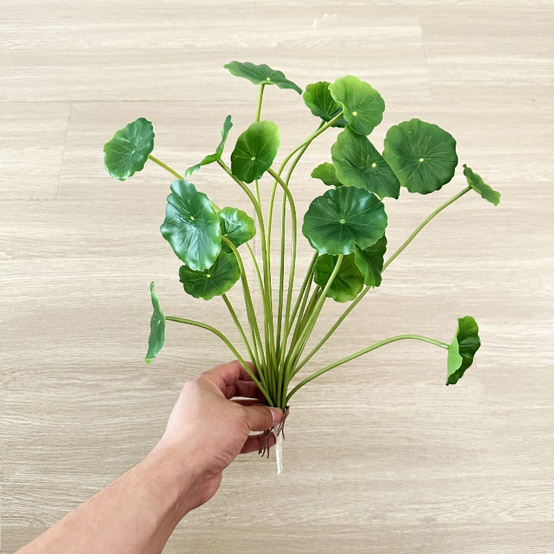 2pcs Artificial Pilea Peperomi - огляд і ціна Bonsai Garden Wall