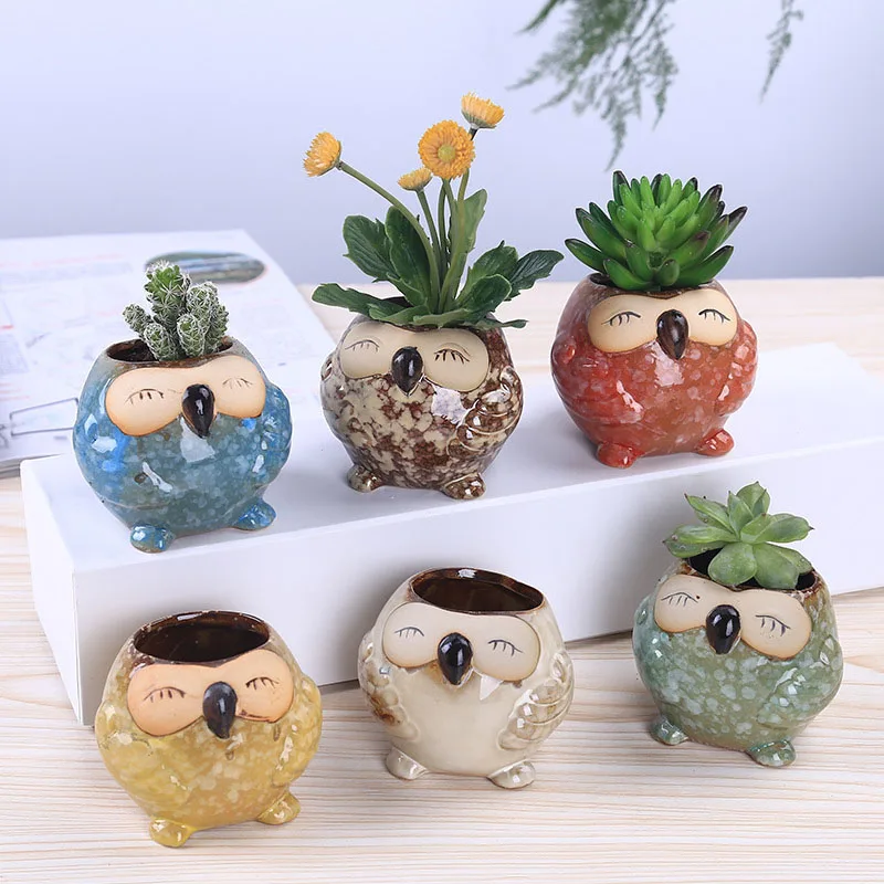 Mini Ceramic Owl Succulent Pla - огляд і ціна Bonsai Garden Wall
