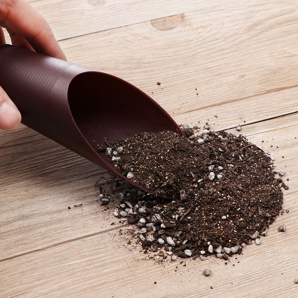 1PC Plastic Soil Shovel Cup Fo - огляд і ціна Bonsai Garden Accessories